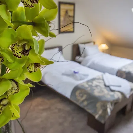 فندق Garni Lux كراغوييفاك