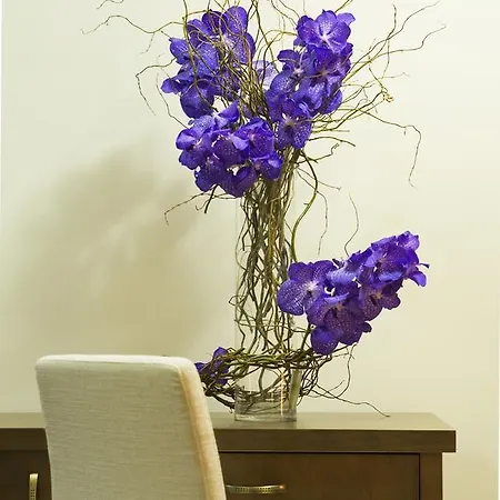 Garni Lux 3* كراغوييفاك